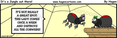Spider